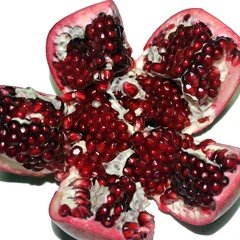 Pomegranate