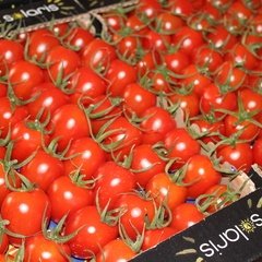 Cherry Tomato