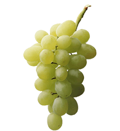 Grape