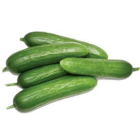 Cucumber