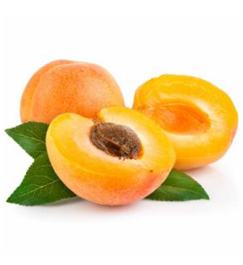 Apricot