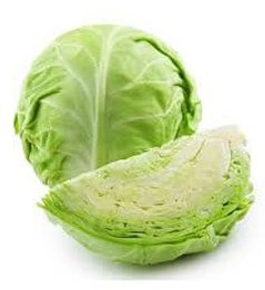 Cabbage