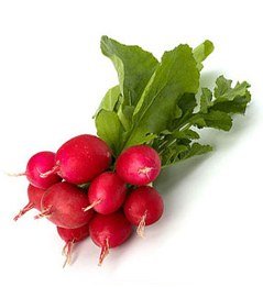 Radish