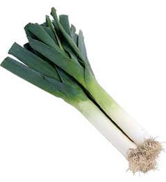 Leek