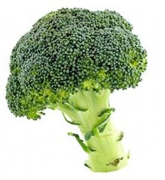 Broccoli