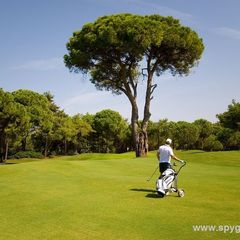 The Pasha Golf Course