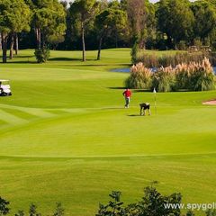 The Pasha Golf Course