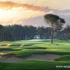 Montgomerie Golf Course
