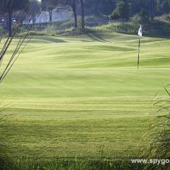 Sueno Pines Golf Course