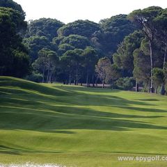 Sueno Pines Golf Course
