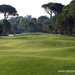 Sueno Pines Golf Course