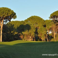 Sueno Pines Golf Course