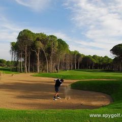 Sueno Pines Golf Course