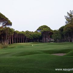 Sueno Pines Golf Course