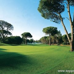 Cornelia Faldo Course
