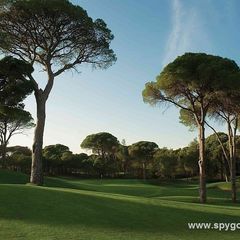 Cornelia Faldo Course