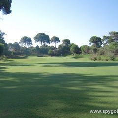 Cornelia Faldo Course