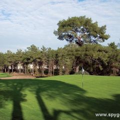 Cornelia Faldo Course