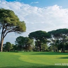 Cornelia Faldo Course