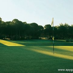 Cornelia Faldo Course