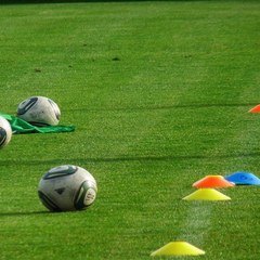 فنادق كرة القدم في بيليك