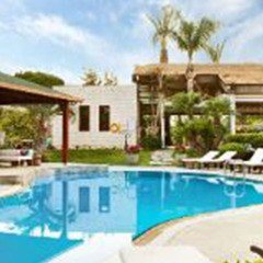 The Life Co - İstanbul