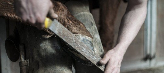 Haczedilemeyen Mallar