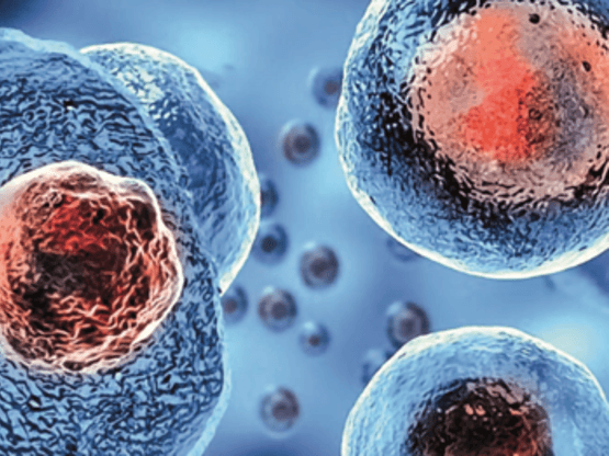 Meydan Hastanesi Kök Hücre Tedavisi