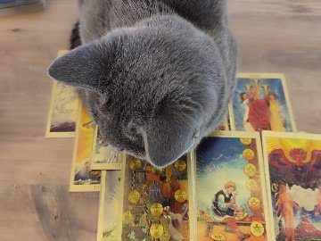 Pelin Tekin Luna 2025