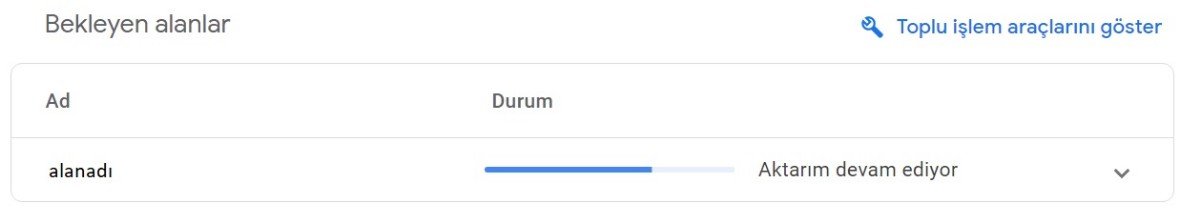 google-domains-alan-adi-transfer-durumu