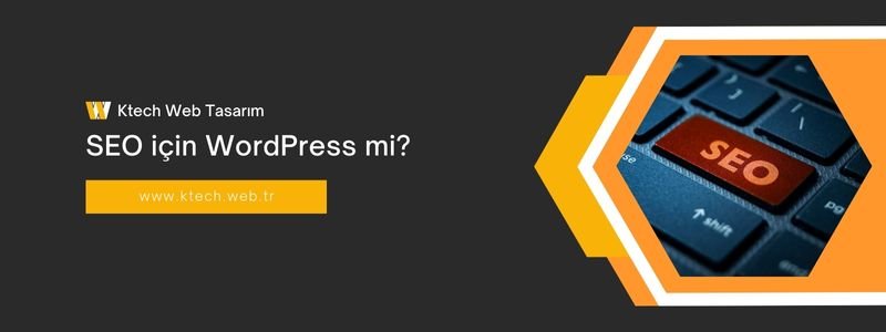 seo-icin-wordpress-mi
