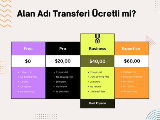 Alan adı transferi ücretli mi?