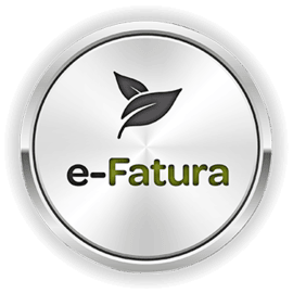 Şirketler için Efatura Başvuru İşlemleri
