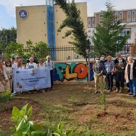 IMG-20211105-WA0065-700x600