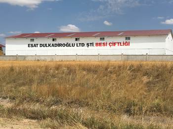 Edat Dulkadiroğlu Besi Çiftliği