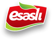 esaslı logo