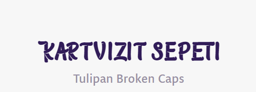 logo-tasarim-fontlari (3)