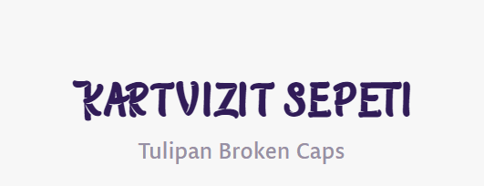 logo-tasarim-fontlari (7)