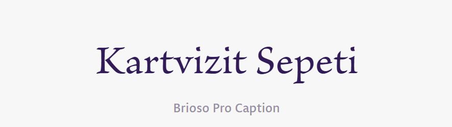 tırnakli-fontlar-serif-yazi-tipleri (18)