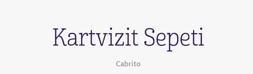 tırnakli-fontlar-serif-yazi-tipleri (19)