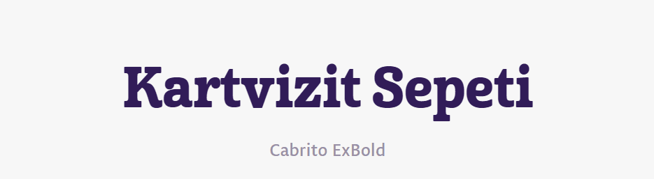 tırnakli-fontlar-serif-yazi-tipleri (20)