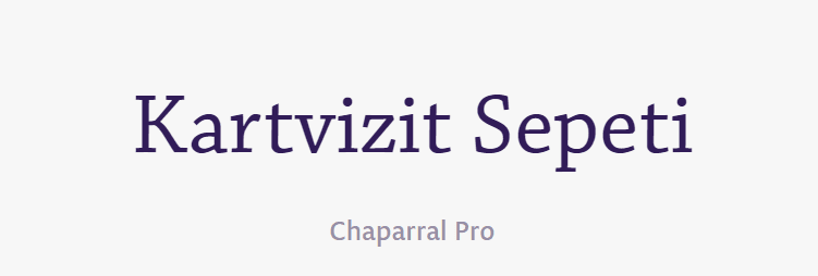 tırnakli-fontlar-serif-yazi-tipleri (21)