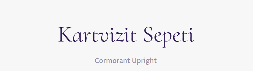 tırnakli-fontlar-serif-yazi-tipleri (23)