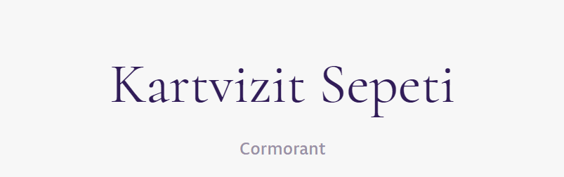 tırnakli-fontlar-serif-yazi-tipleri (24)