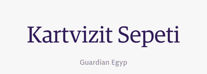 tırnakli-fontlar-serif-yazi-tipleri (38)