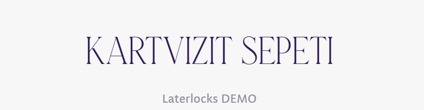 tırnakli-fontlar-serif-yazi-tipleri (47)