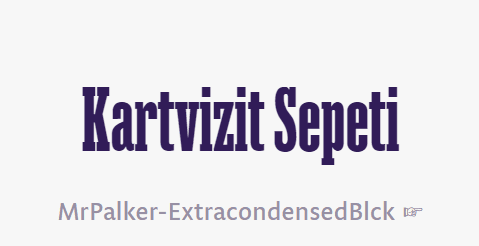 tırnakli-fontlar-serif-yazi-tipleri (59)