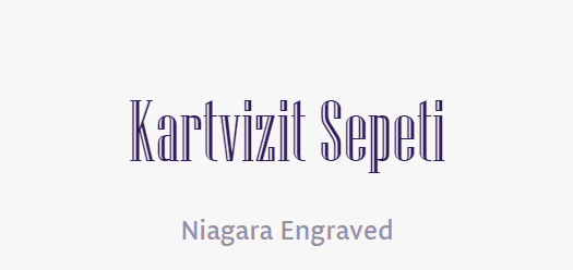 tırnakli-fontlar-serif-yazi-tipleri (60)