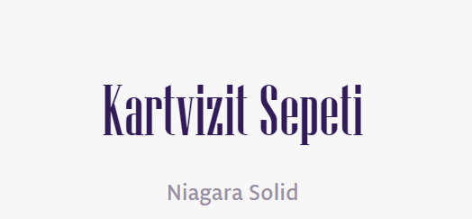 tırnakli-fontlar-serif-yazi-tipleri (61)