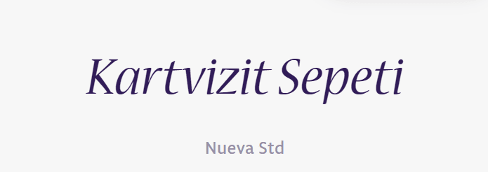 tırnakli-fontlar-serif-yazi-tipleri (62)